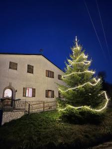 ein Weihnachtsbaum mit Lichtern vor einem Gebäude in der Unterkunft Il Cottage in Castel di Sangro