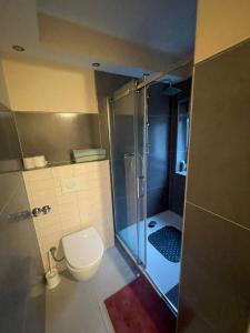 a bathroom with a toilet and a glass shower at Big Apartment in Bochum in Bochum