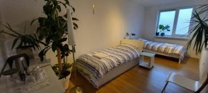 Giường trong phòng chung tại B&B luxury villa, free parking, close to the center +5 ảnh