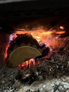 Fotografie z fotogalerie ubytování Rodinná chata v rekreačnej oblasti DRIENICA v destinaci Sabinov + 48 fotografií