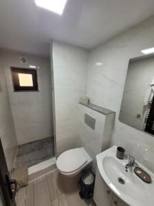 Koupelna v ubytování Apartmentul Radu