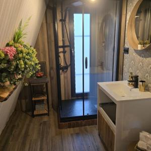 a bathroom with a sink and a glass shower at Dom Chalet in Tisău +51 photos