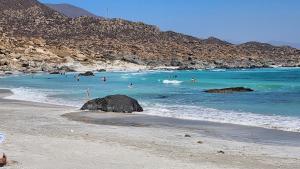 a beach with people swimming in the ocean at Totoralillo casa 12 personas full 7h,3b in Totoralillo