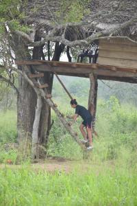 Gallery image of Habarana Wildwood Treehouse in Habarana