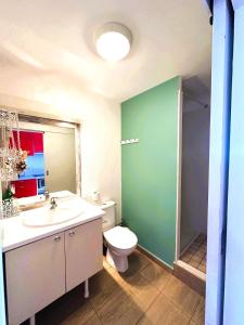 un baño con inodoro y lavabo en Hibiscus Duplex Port Marina, en Saint-François 20 fotos más