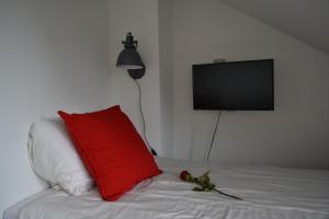 a bed with a red pillow and a flat screen tv at Guesthouse de Hoogkamp in Arnhem