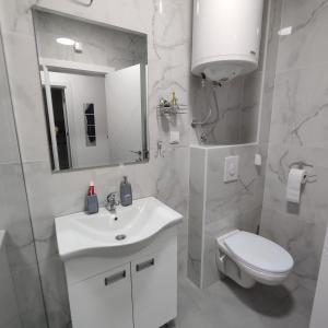 uma casa de banho com um lavatório, um WC e um espelho. em Apartman N&L em Sombor