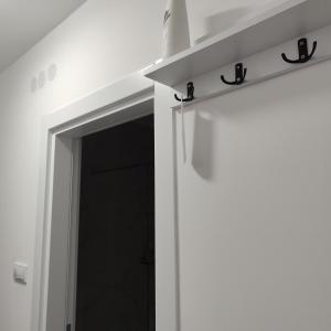 Foto dalla galleria di Apartman N&L a Sombor