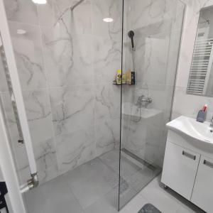 un bagno con doccia e lavandino di Apartman N&L a Sombor