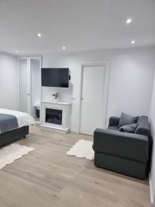 ein Wohnzimmer mit Couch und Kamin in der Unterkunft Studio Furnica Sinaia in Sinaia