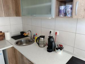 A cozinha ou kitchenette de Forest Nest Divčibare