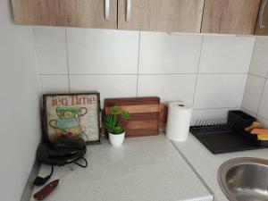 A cozinha ou kitchenette de Forest Nest Divčibare