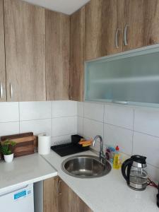 A cozinha ou kitchenette de Forest Nest Divčibare
