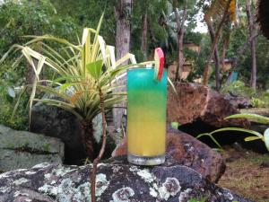 Joogid majutusasutuses Cerf Island Resort