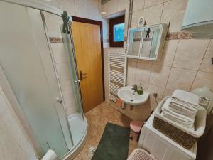 a small bathroom with a shower and a sink at Villa "Pahulja" - Vlašić in Vlasic