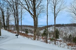 Afbeelding uit fotogalerij van Snowshoe Condo in Bellaire