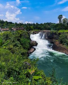 a waterfall on a river with green vegetation at Hotel Randha and Lodging in Bhandardara 