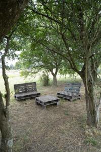 tres bancos de madera sentados bajo árboles en un campo en Casa Quinta la PAVA GRADE, en Chascomús