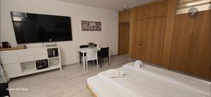 TV a/nebo společenská místnost v ubytování Residenza Lago di Lugano