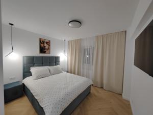 a bedroom with a bed and a television in it at Central Residence Câmpulung in Câmpulung