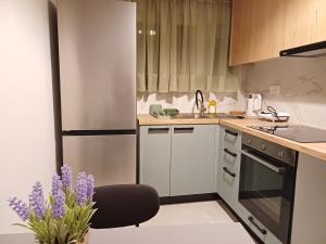 Η κουζίνα ή μικρή κουζίνα στο allegro alsos apartment