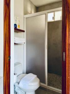 a bathroom with a toilet and a glass shower door at Casa A la Mar in Zihuatanejo +30 photos