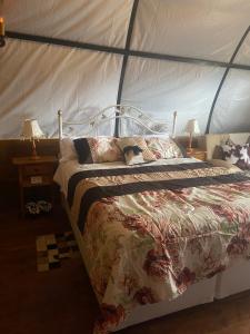 Postel nebo postele na pokoji v ubytování Carroça Arizona, Vila Mágica + 13 fotografií