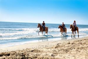 een groep mensen die paardrijden op het strand bij Barricata Holiday Village in Scardovari
