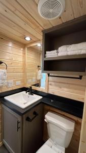 a bathroom with a toilet and a sink at 060A Brand New Cozy Cabin with Loft & King bed near Grand Canyon South Rim in Valle