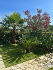 two palm trees in a garden with grass and flowers at Gjiri i Lalzit Lura 3 Apartment Toni in Draç +7 photos