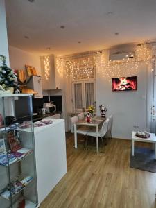 Televízia a/alebo spoločenská miestnosť v ubytovaní Apartments Zagreb Center