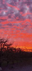 Afbeelding uit fotogalerij van Apfel in Cunaco