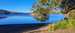 a view of a large blue lake with a tree at Monoambiente Neli in Villa Pehuenia