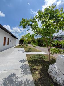 a tree in the middle of a sidewalk at Casa del Cable in Mariquita