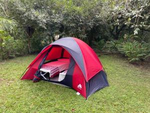 Coco Bamboo Beach Camp外面的花园