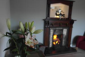 Fotografie z fotogalerie ubytování Hazelwood Lodge v destinaci Ballyvaughan