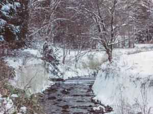 un ruisseau avec de la neige au sol et des arbres dans l'établissement La Terra Resort, à Seba