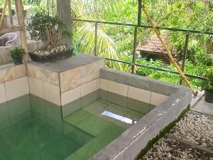 Басейн в Javalindra Homestay Tour and Travel або поблизу