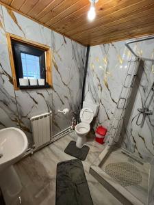 a bathroom with a shower and a toilet and a sink at Casa Roxana in Predeal +13 photos