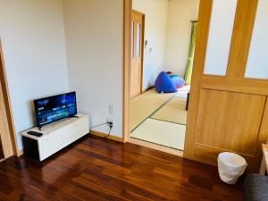 TV a/nebo společenská místnost v ubytování Nest Kisarazu