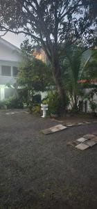 Giardino di VThree Family House