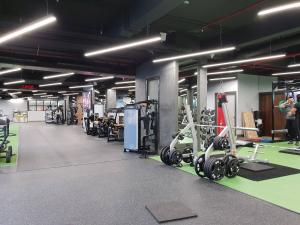 Fitness centrum a/nebo fitness zařízení v ubytování Ebony Room - Comfortable Suite