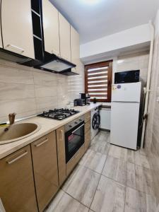 Kuchyň nebo kuchyňský kout v ubytování CITY CENTER 2ROOMs APARTAMENT CALEA VICTORIEI + 16 fotografií