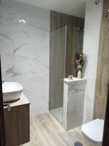 a bathroom with a shower and a toilet and a sink at Mi Rincón Favorito in Adeje