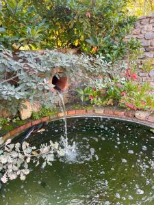 Fotografie z fotogalerie ubytování Agriturismo Le Grotte v destinaci Nemi