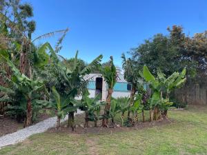 Κήπος έξω από το Hoekwil village house