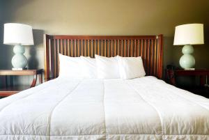 Postel nebo postele na pokoji v ubytování Baymont Inn and Suites by Wyndham Columbus / Near OSU