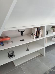 Knihovna v apartmánu
