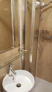 a bathroom with a sink and a shower at Dolphin Inn - The Lodge in London