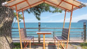 un tavolo e due sedie seduti sotto un albero vicino all'oceano di Geoje Break Time Pension a Geoje
